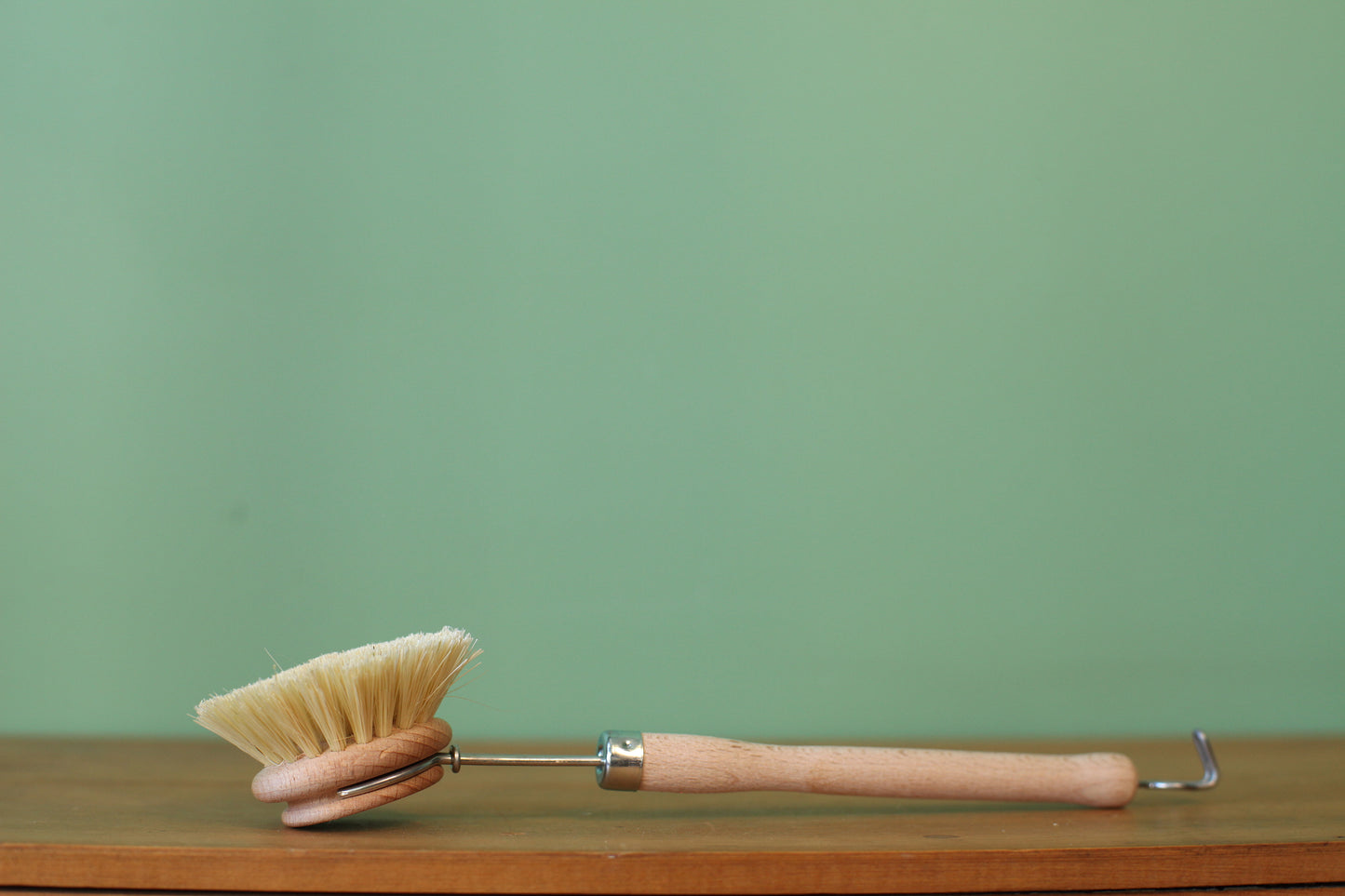 Dish Brush