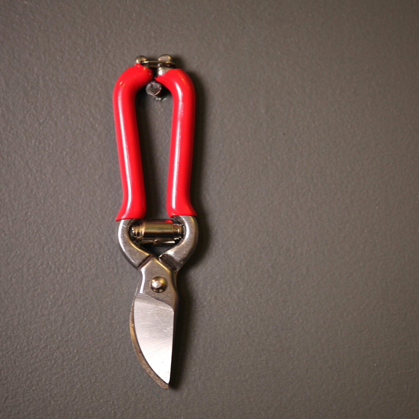 Red Handled Garden Snips - Stainless Steel