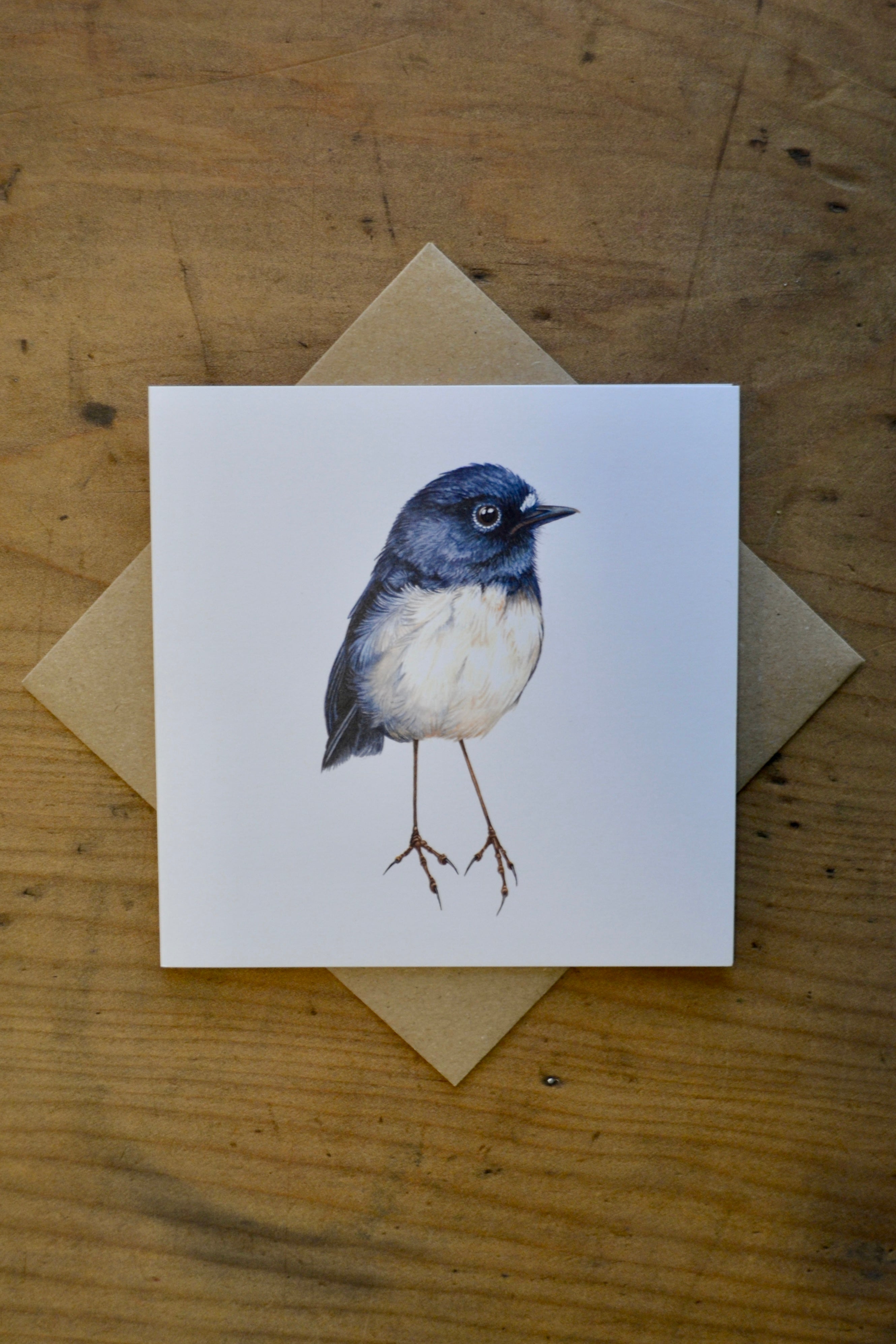 Kakaruai / Sth Island Robin - Helen Taylor