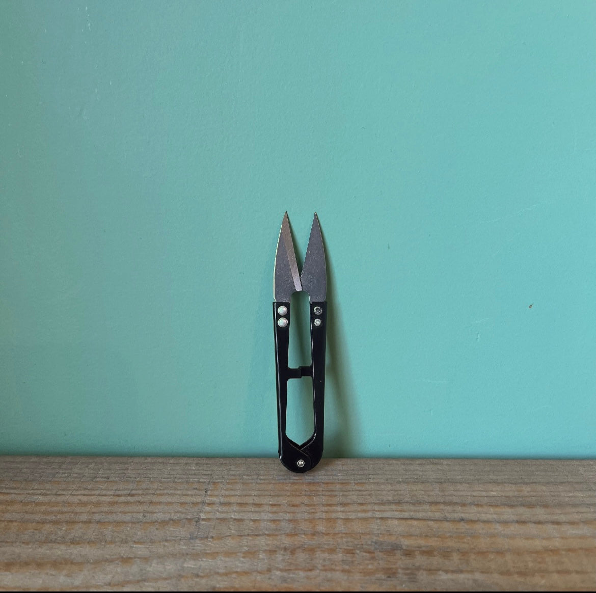 Stainless steel mini snips