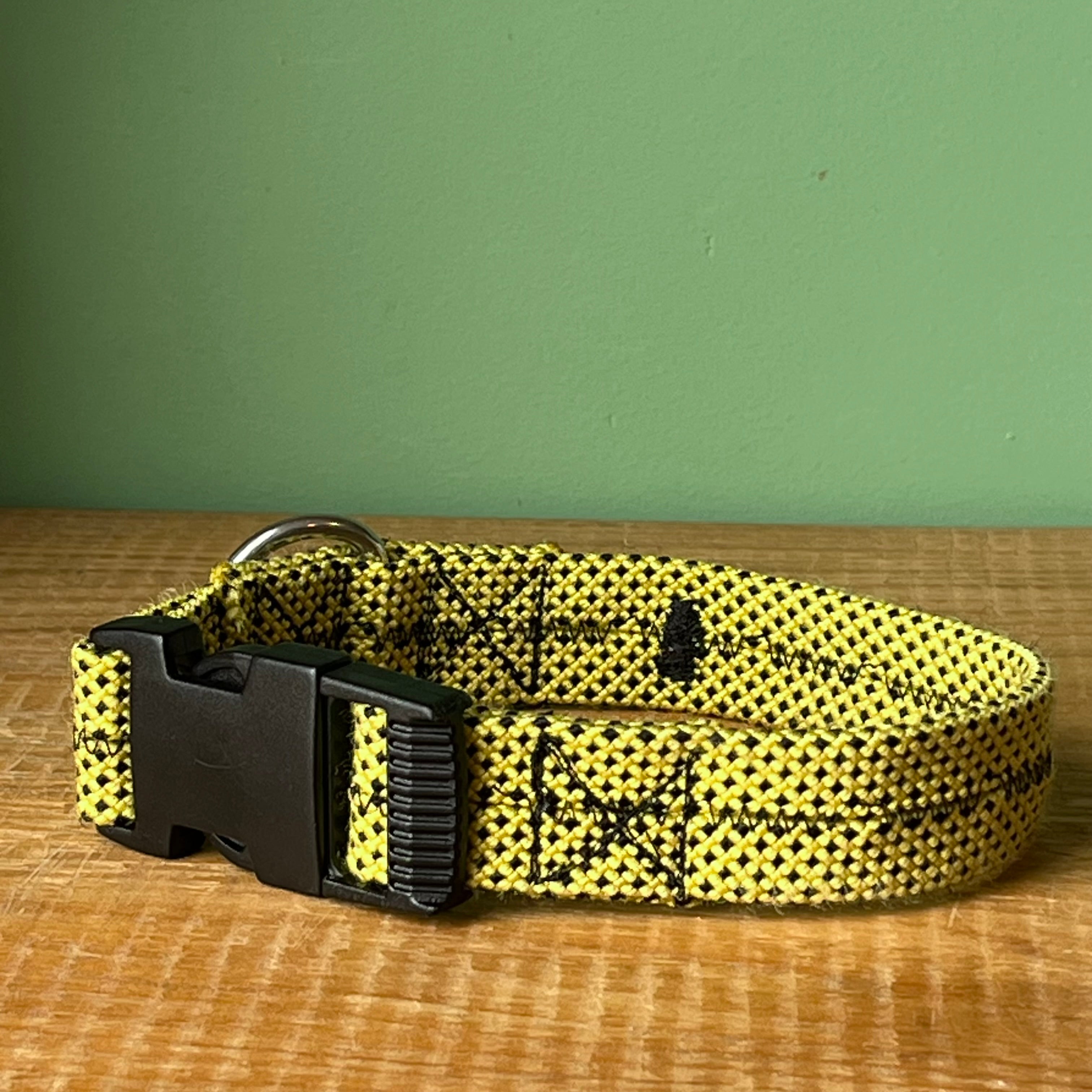 Euan dog collar