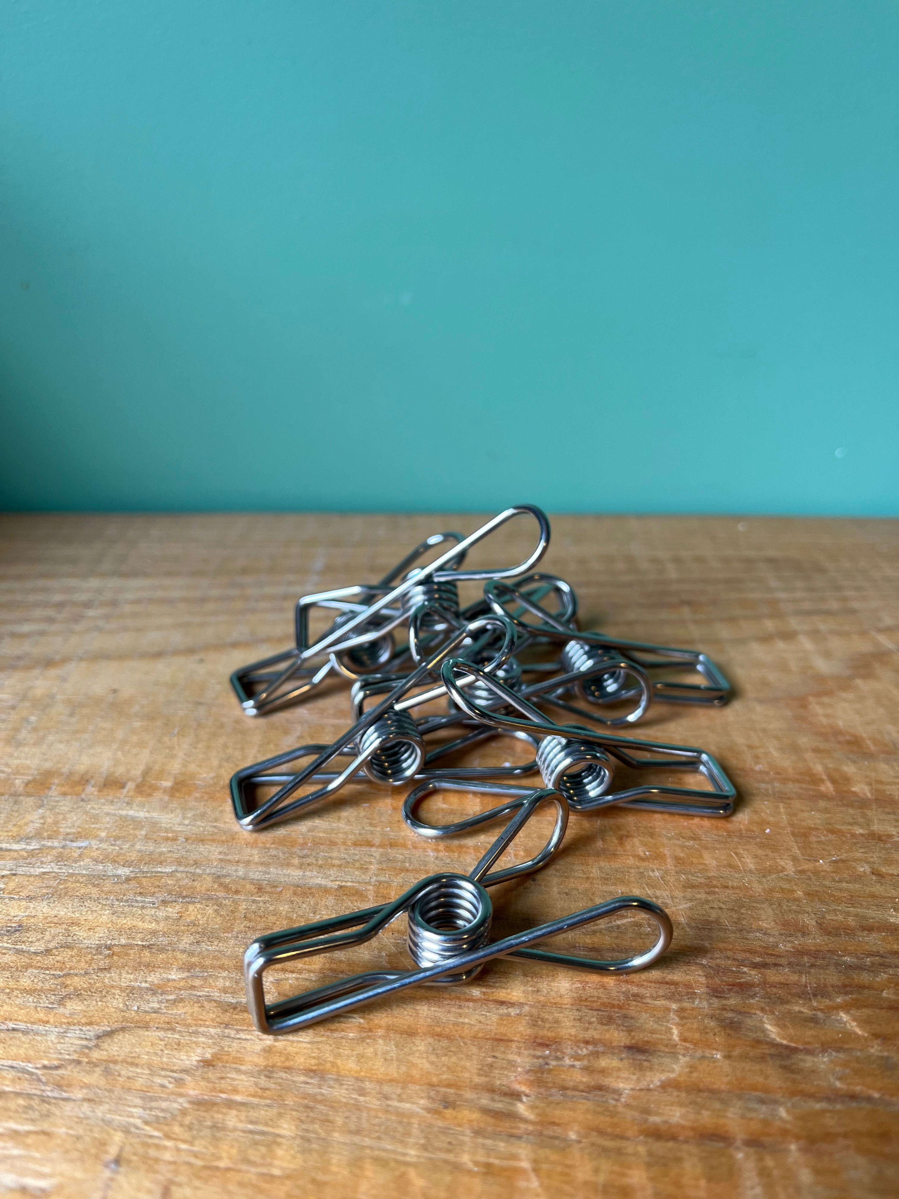 Stainless Steel Clothes Peg