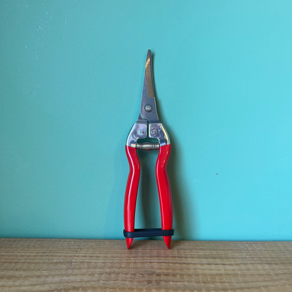 Long Nose Pruner snips