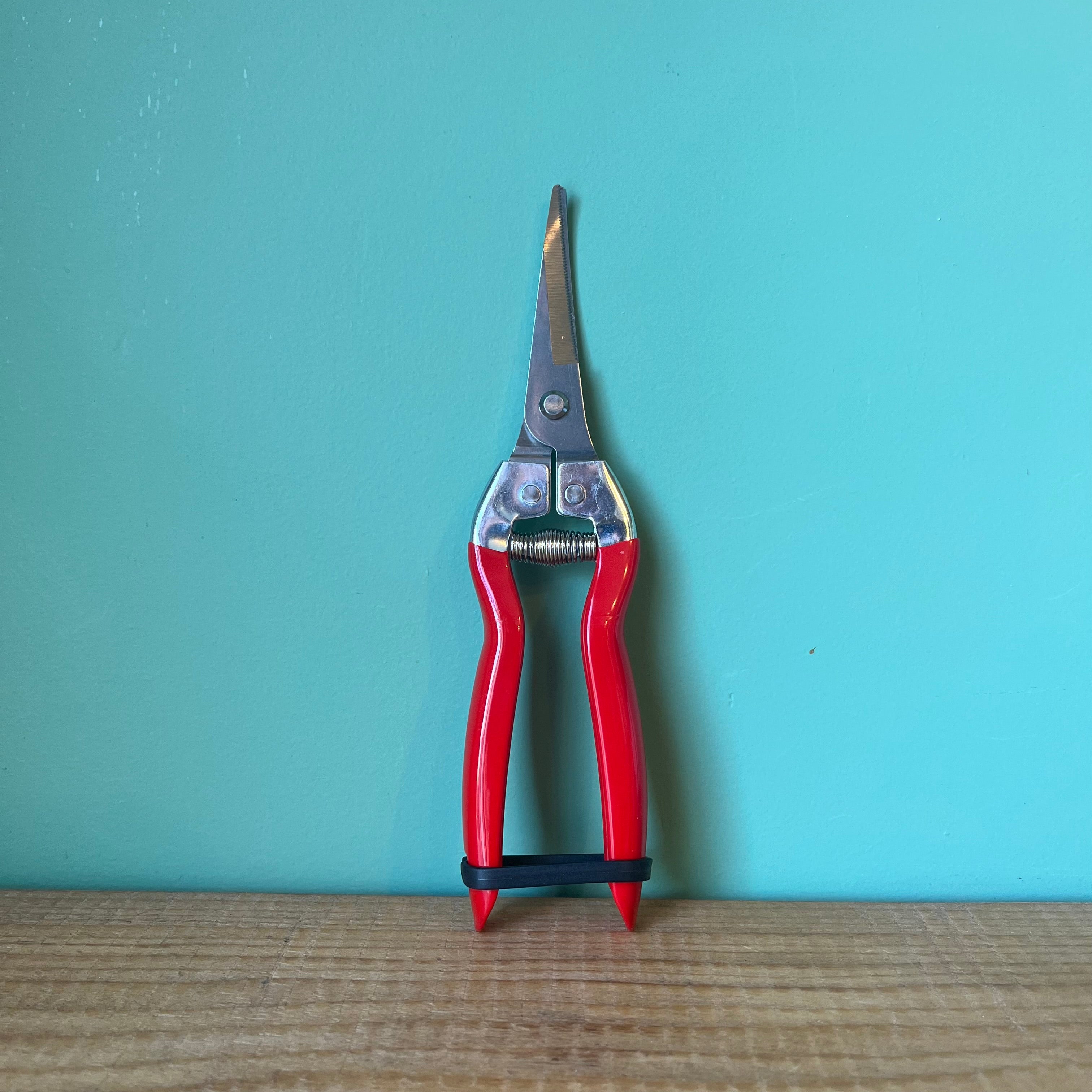 Long Nose Pruner snips