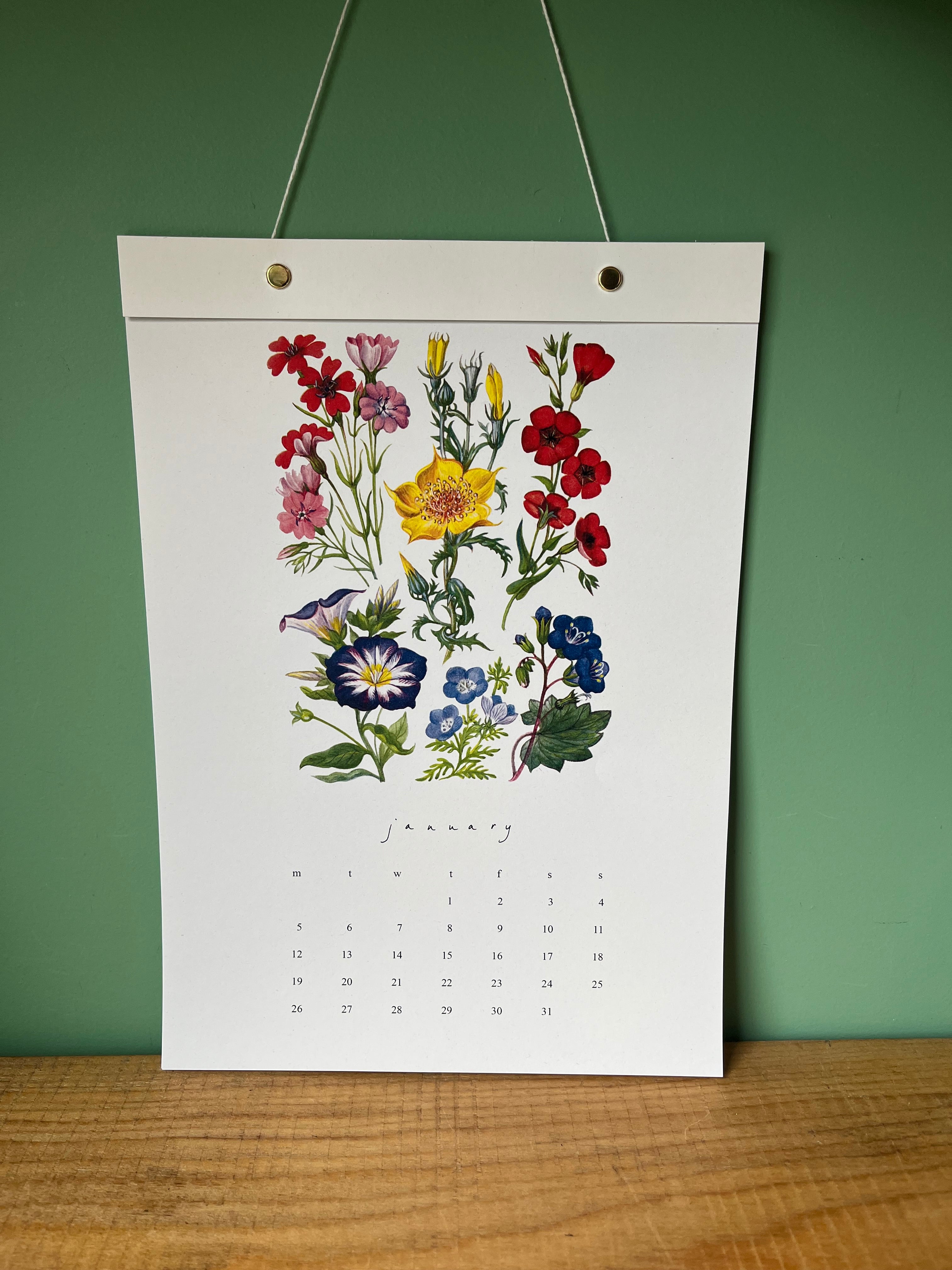 Hydrangea Ranger 2026 Calendar