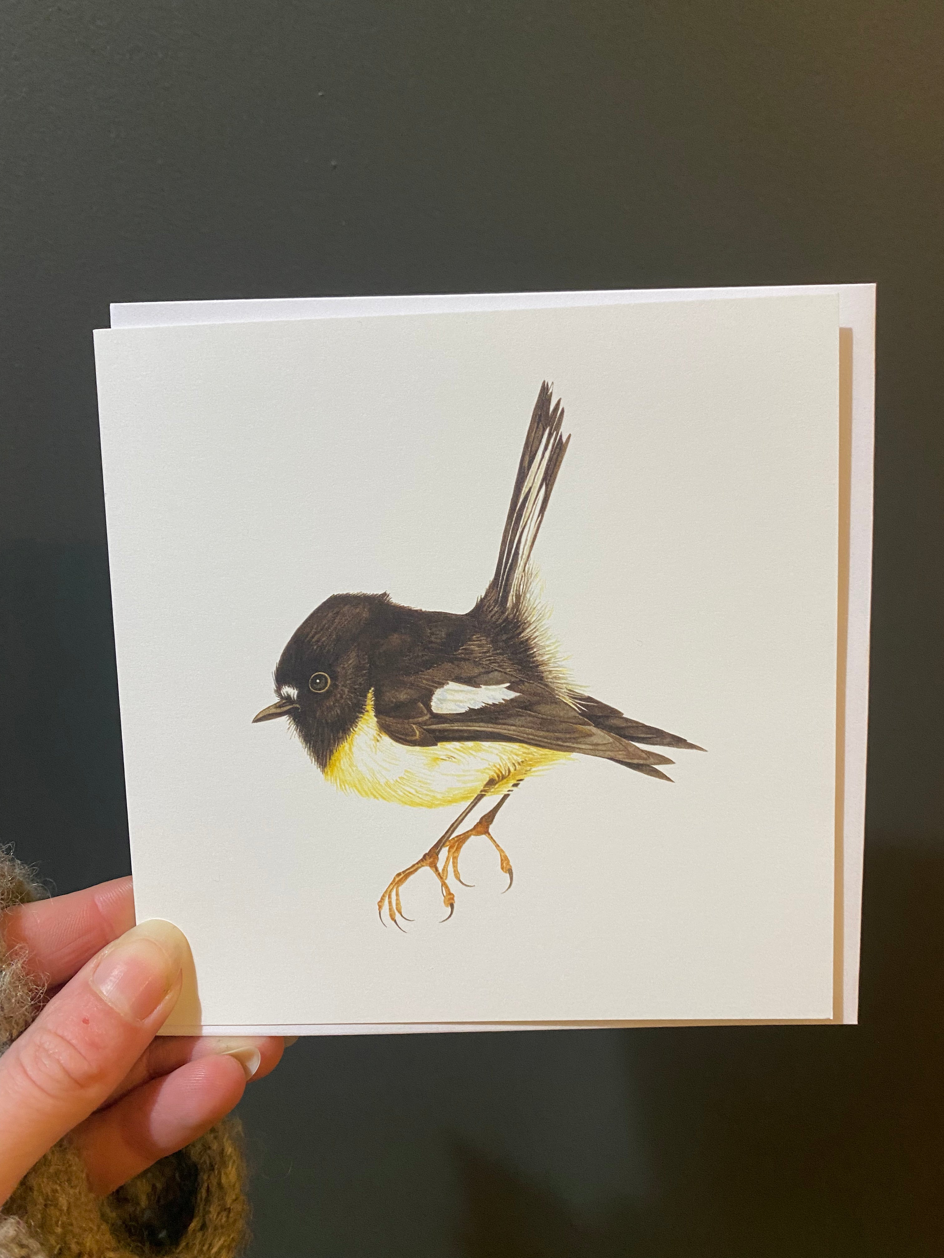 Miromiro / Tomtit Card - Helen Taylor