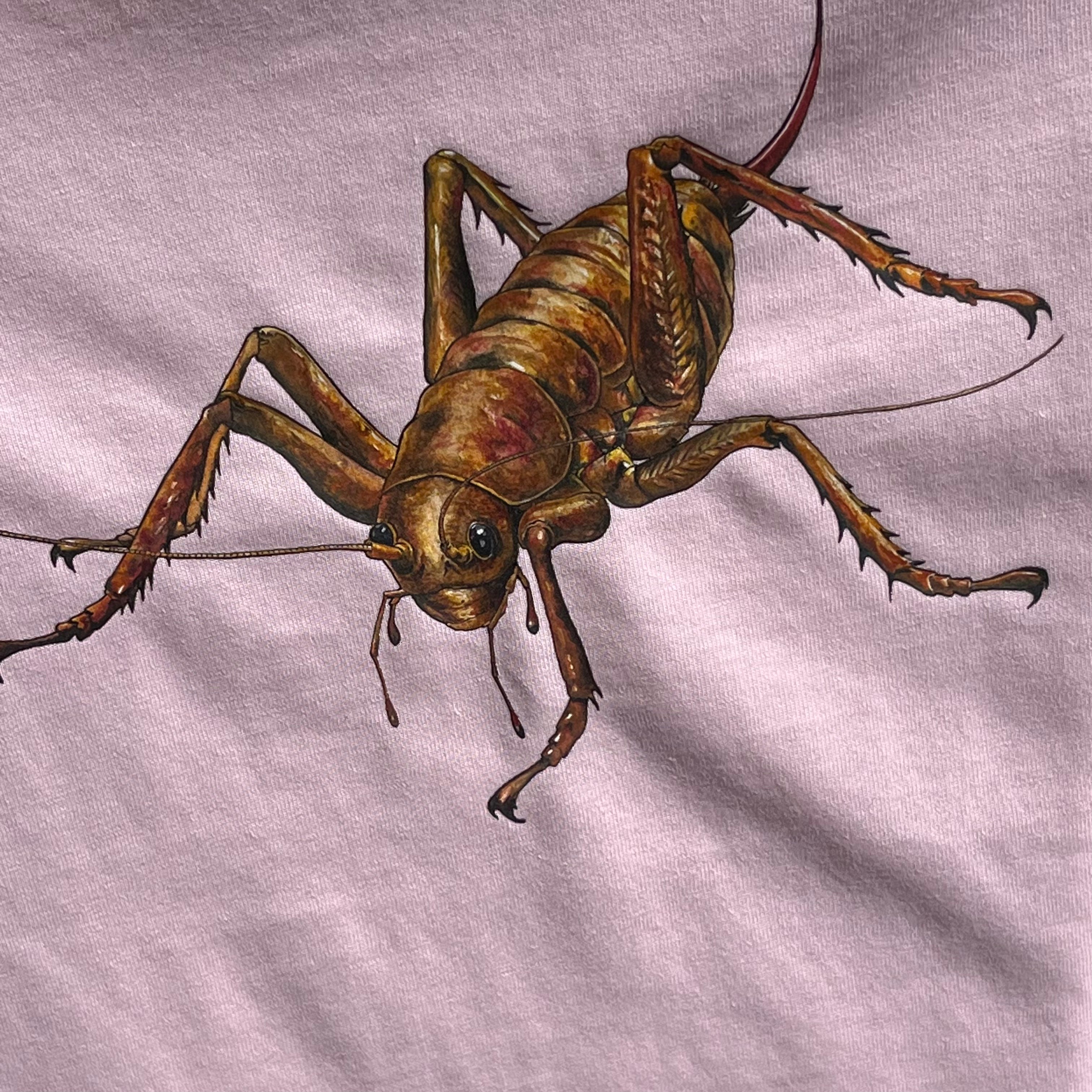 Wētāpunga Kids T Shirt